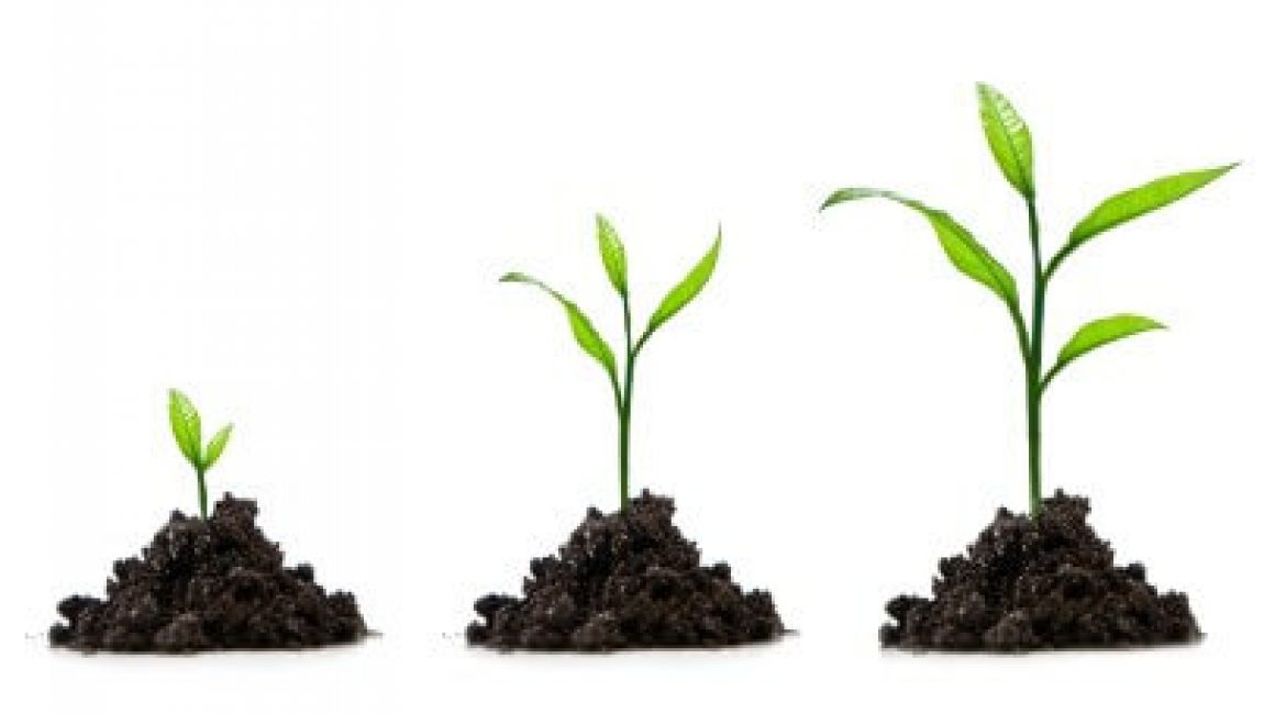 Cómo conseguir ventas con una estrategia de lead nurturing