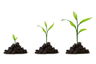 Cómo conseguir ventas con una estrategia de lead nurturing